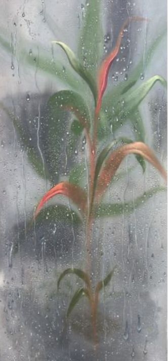 Symphony Of Raindrops
