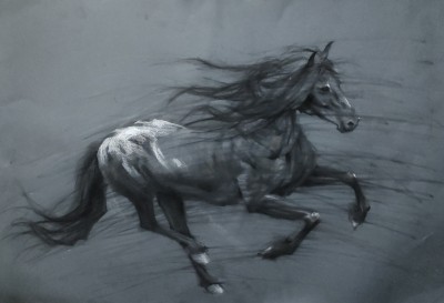 Drawing Horse